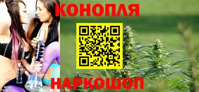 дмт Будённовск