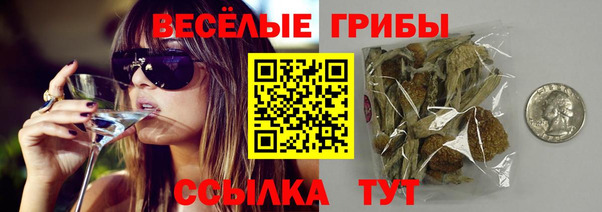 Псилоцибиновые грибы ЛСД  Вход с VPN  Протвино 